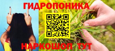 спиды Тверь