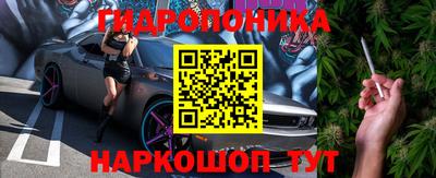 дмт Тара