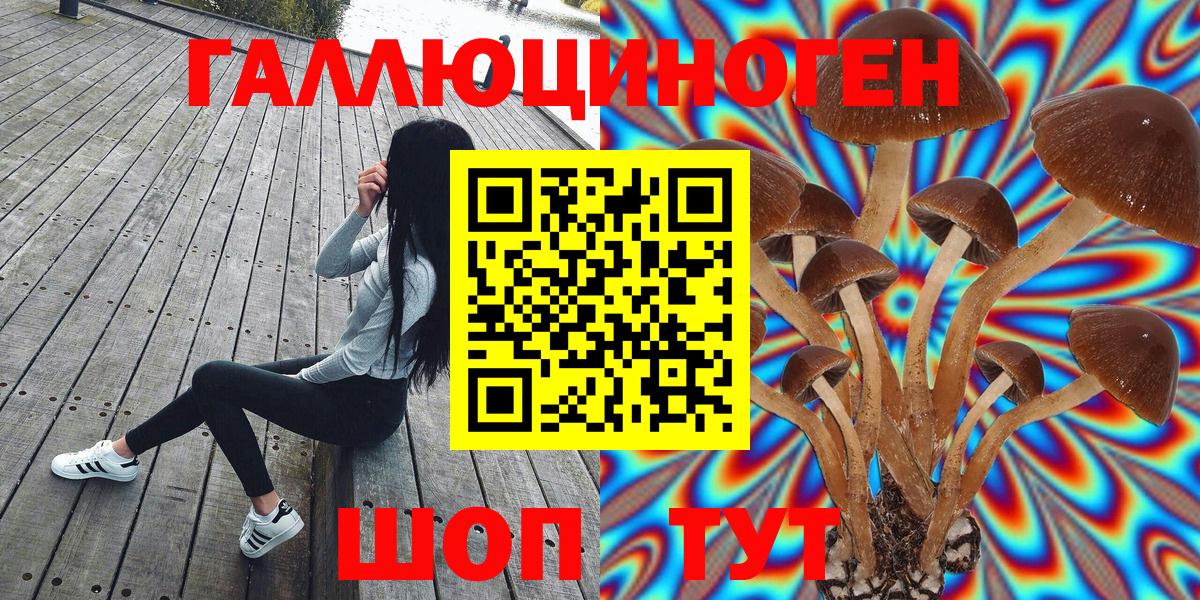 Нижнекамск  Псилоцибиновые грибы Psilocybe  Вход с VPN  Псилоцибиновые грибы Magic Shrooms 